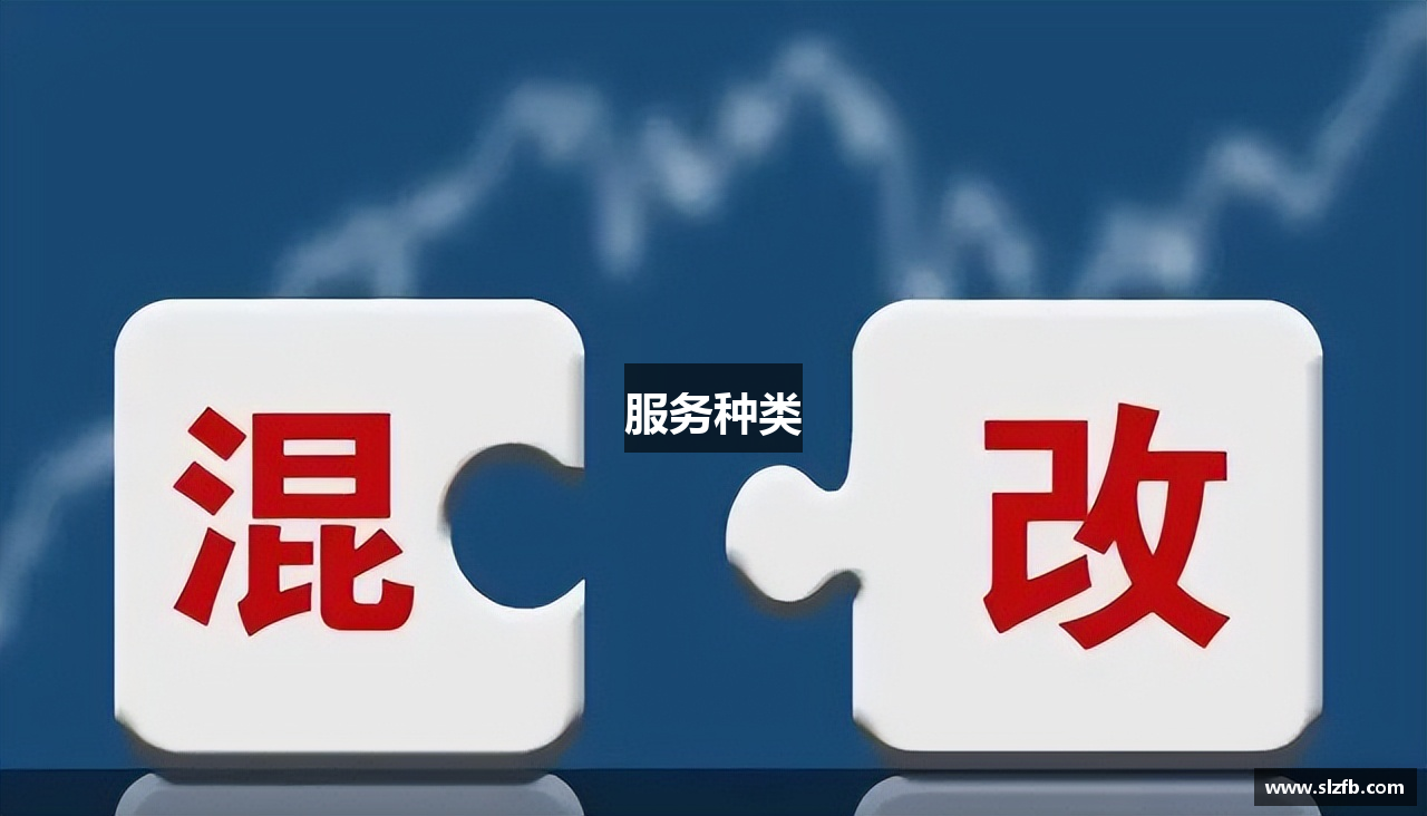 服务种类